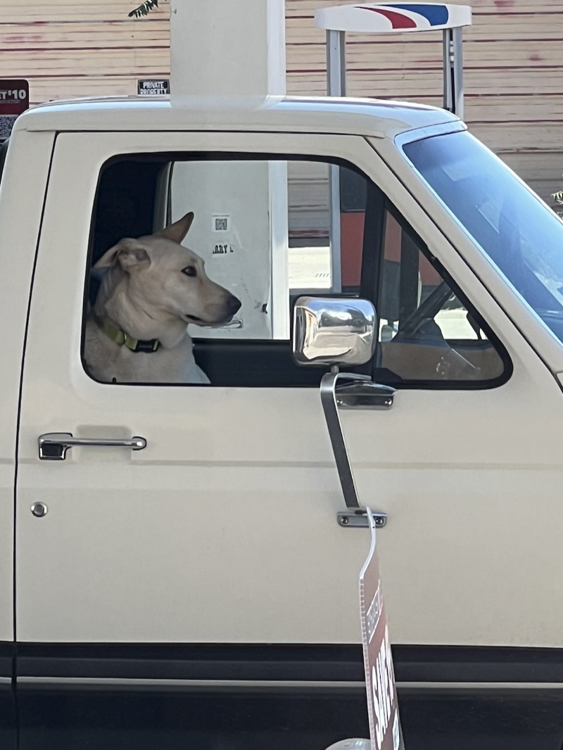 Small town character — Marfa, Texas